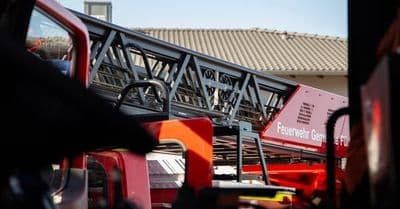 Bild 3 des Artikels 82