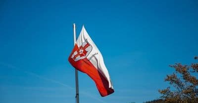 Bild 4 des Artikels 83